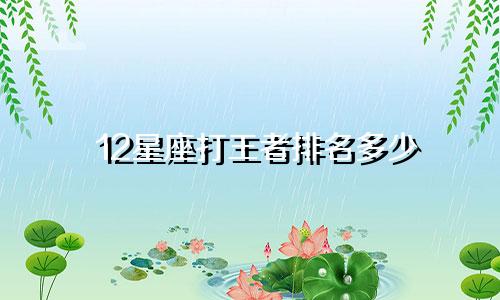 12星座打王者排名多少