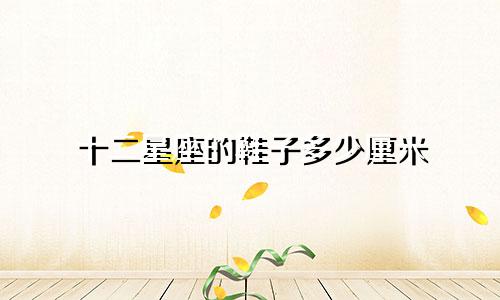 十二星座的鞋子多少厘米