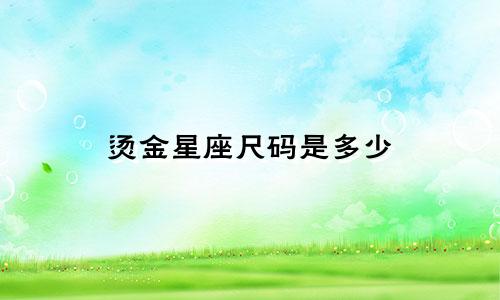 烫金星座尺码是多少