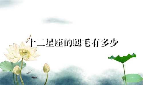 十二星座的腿毛有多少