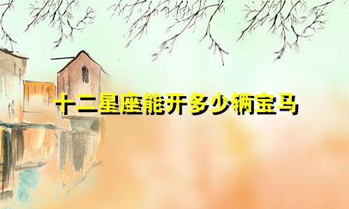 十二星座能开多少辆宝马