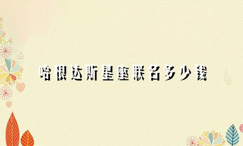 哈根达斯星座联名多少钱