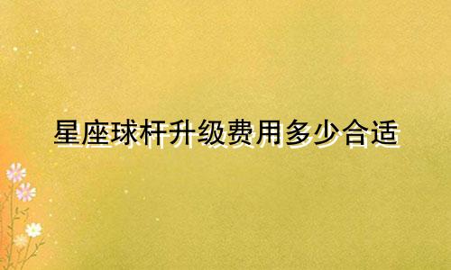 星座球杆升级费用多少合适