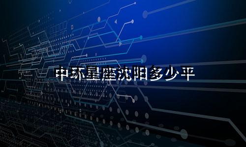 中环星座沈阳多少平
