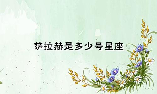 萨拉赫是多少号星座