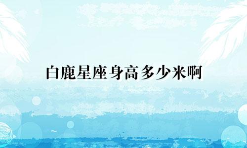 白鹿星座身高多少米啊