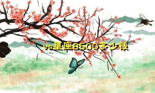 vs星座8500多少钱