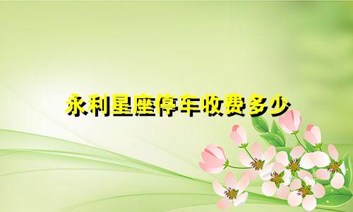 永利星座停车收费多少