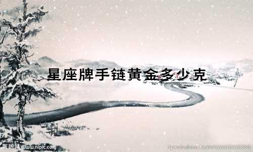星座牌手链黄金多少克