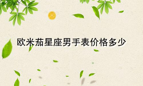 欧米茄星座男手表价格多少