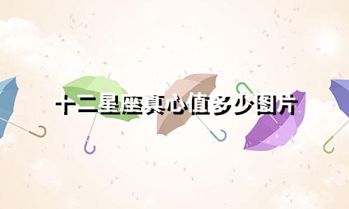 十二星座真心值多少图片