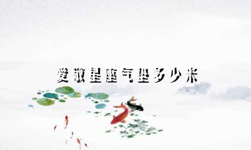 爱敬星座气垫多少米