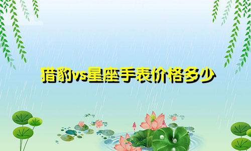 猎豹vs星座手表价格多少