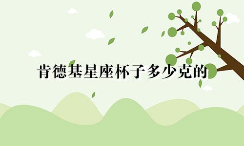 肯德基星座杯子多少克的