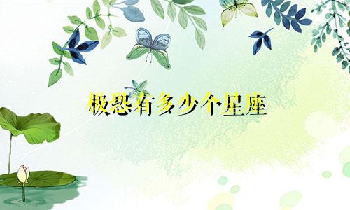 极恐有多少个星座