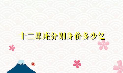 十二星座分别身价多少亿