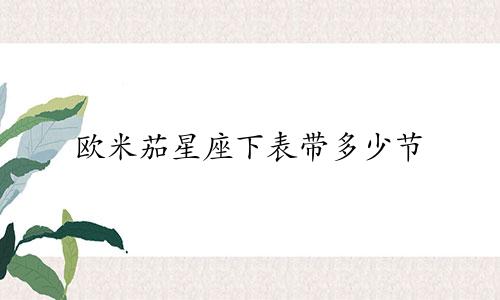 欧米茄星座下表带多少节