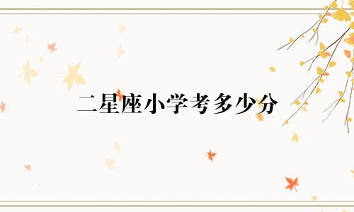 二星座小学考多少分