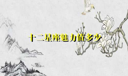 十二星座魅力值多少