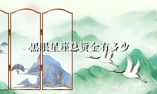 黑眼星座总资金有多少