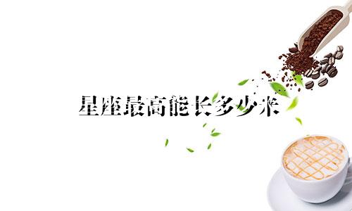 星座最高能长多少米