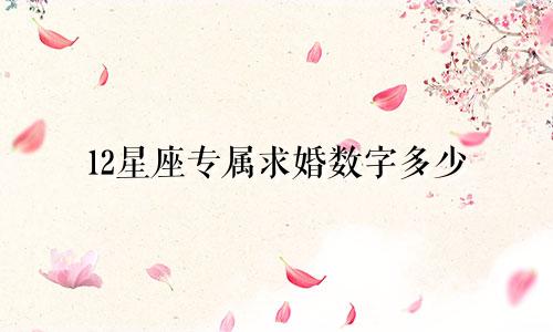 12星座专属求婚数字多少