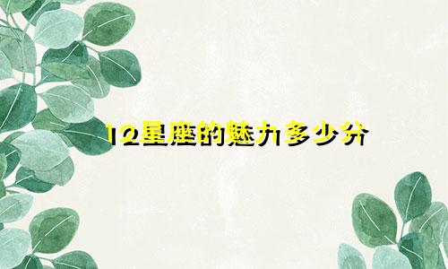 12星座的魅力多少分