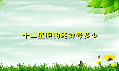 十二星座的迷你号多少
