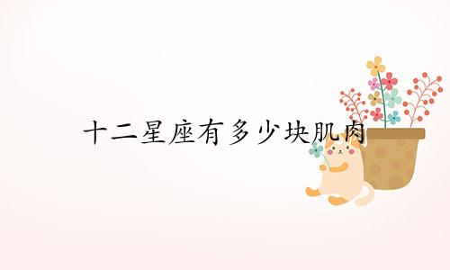 十二星座有多少块肌肉