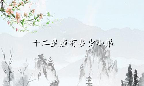 十二星座有多少小弟