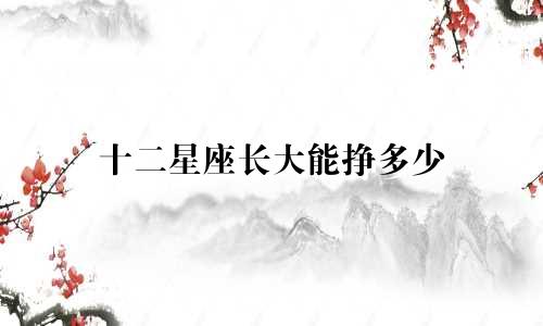十二星座长大能挣多少