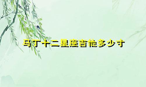 马丁十二星座吉他多少寸