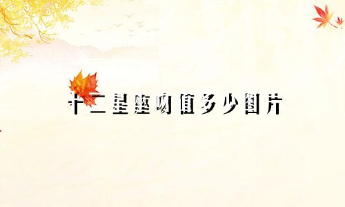 十二星座吻值多少图片