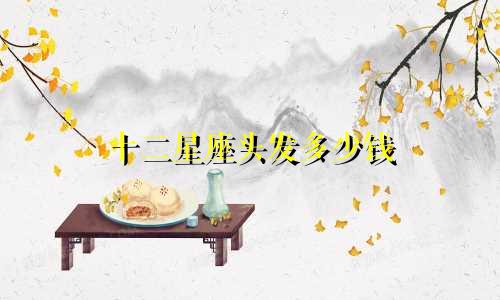 十二星座头发多少钱