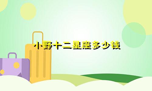 小野十二星座多少钱