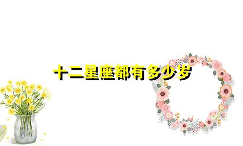 十二星座都有多少岁