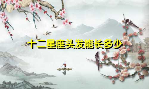 十二星座头发能长多少
