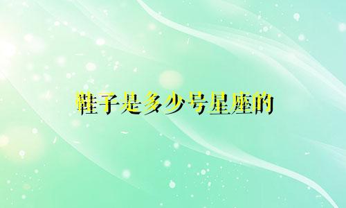 鞋子是多少号星座的