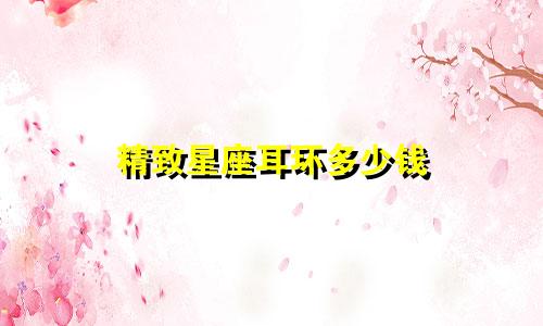 精致星座耳环多少钱