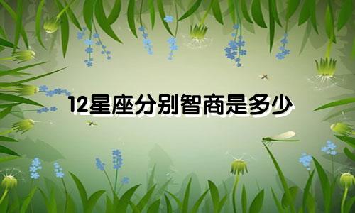 12星座分别智商是多少