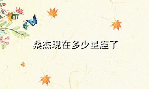 桑杰现在多少星座了