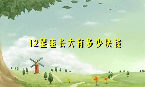 12星座长大有多少块钱