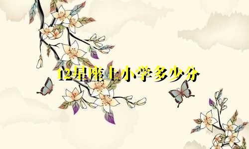 12星座上小学多少分