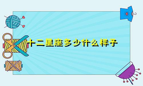十二星座多少什么样子