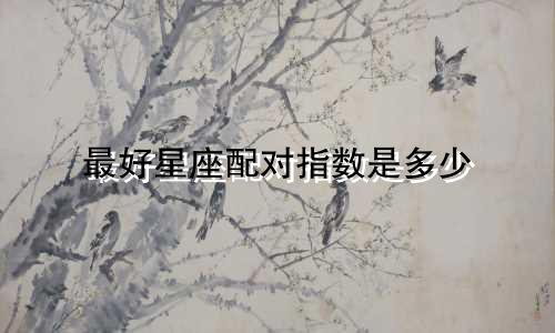 最好星座配对指数是多少