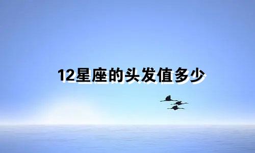 12星座的头发值多少