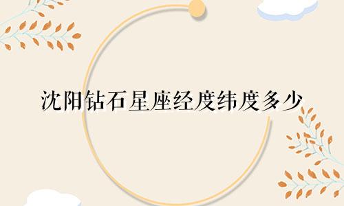 沈阳钻石星座经度纬度多少