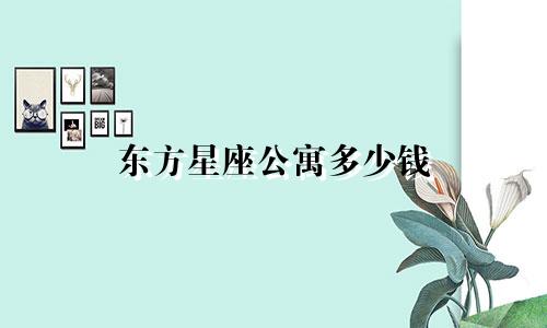 东方星座公寓多少钱