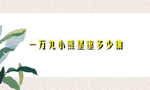 一万九小熊星座多少抽