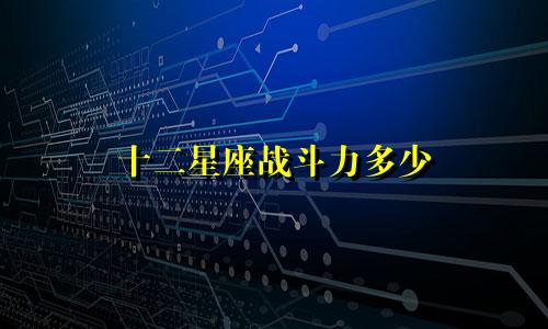 十二星座战斗力多少
